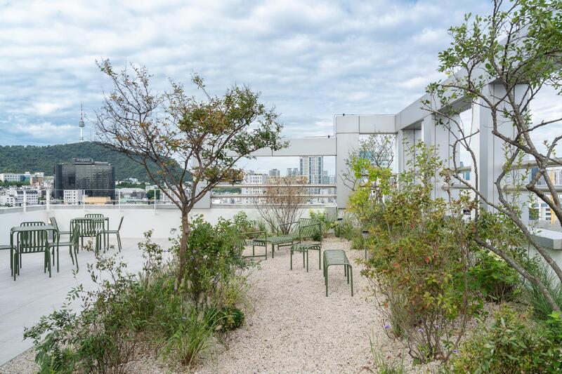 Mangrove Dongdaemun
